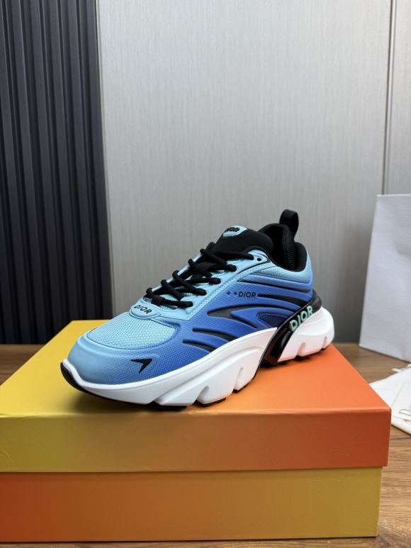 DiorSHOES