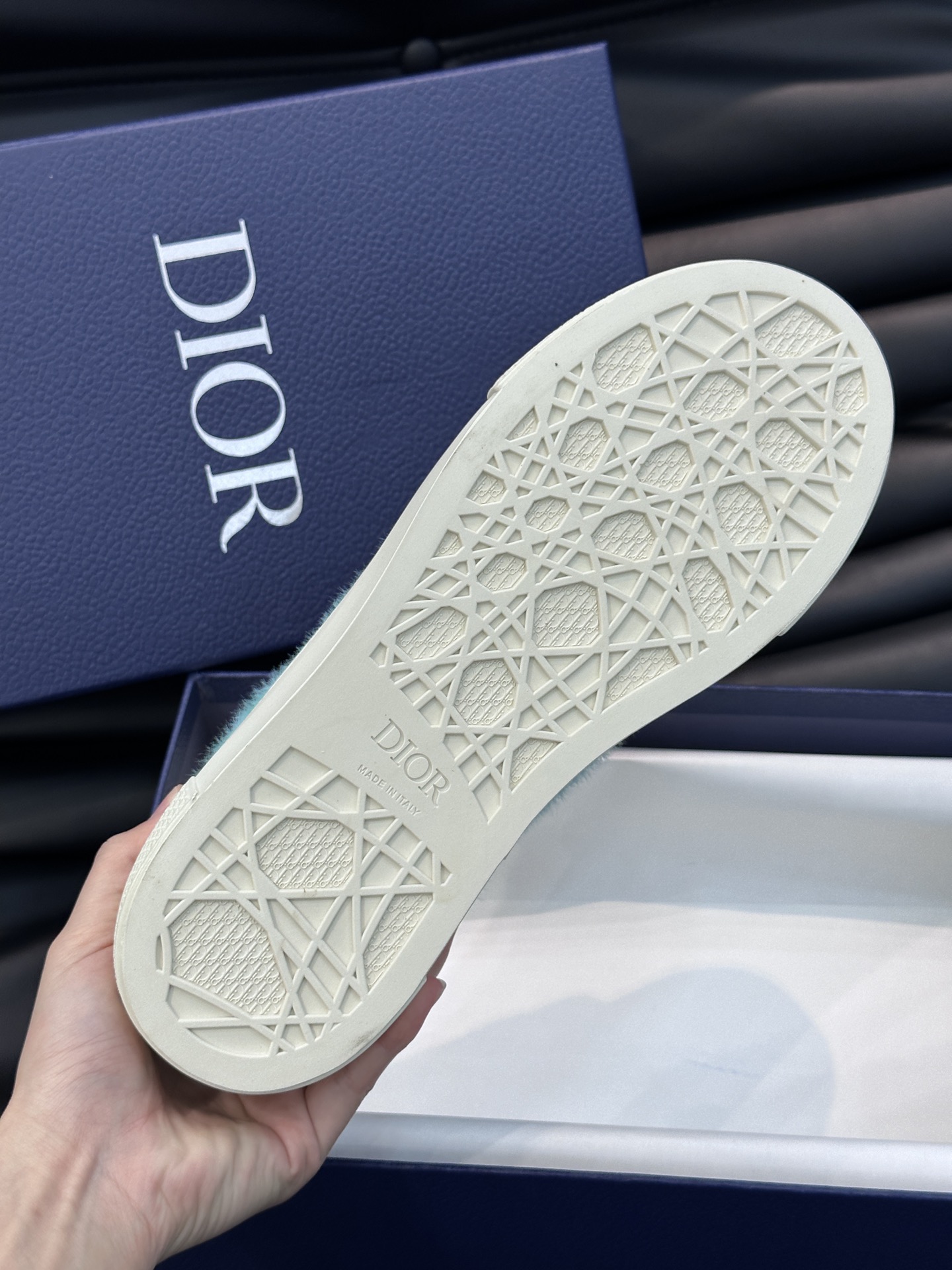 DiorSHOES