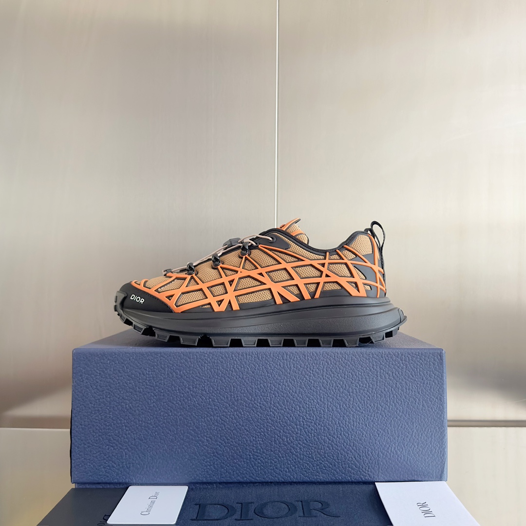DiorSHOES