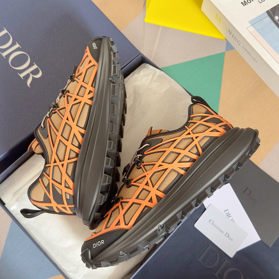 DiorSHOES