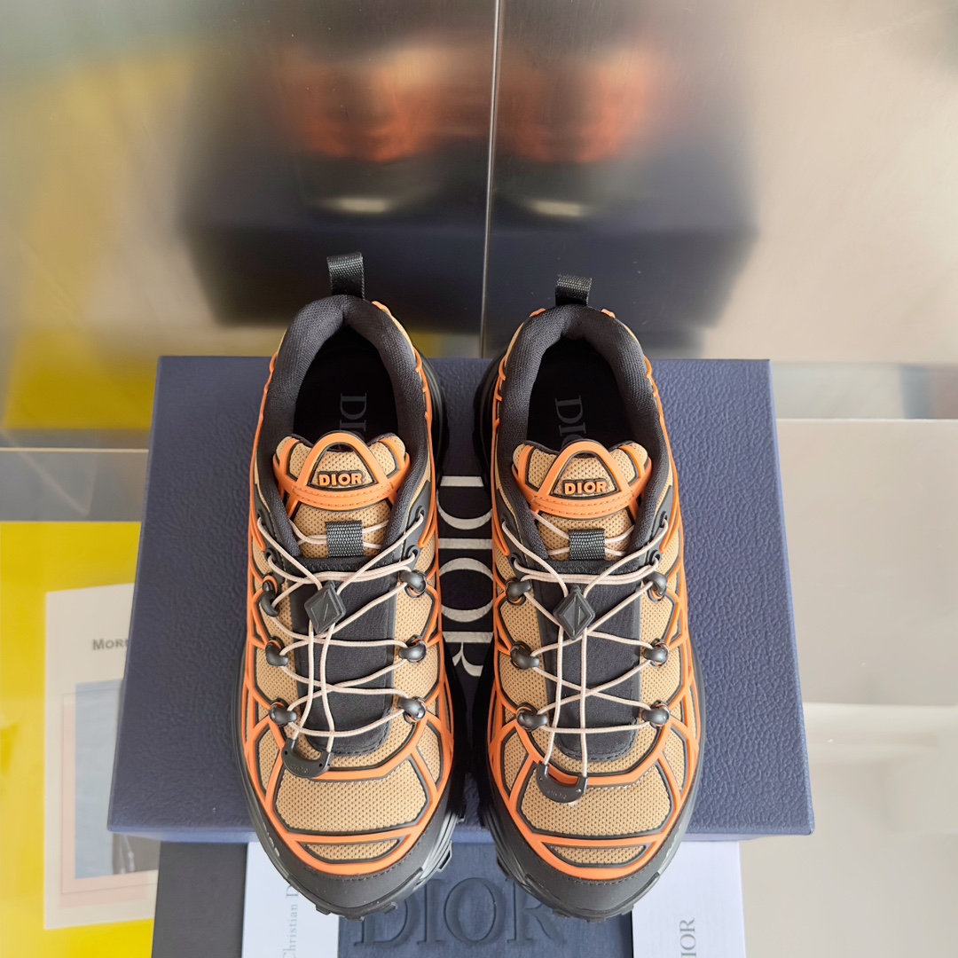 DiorSHOES