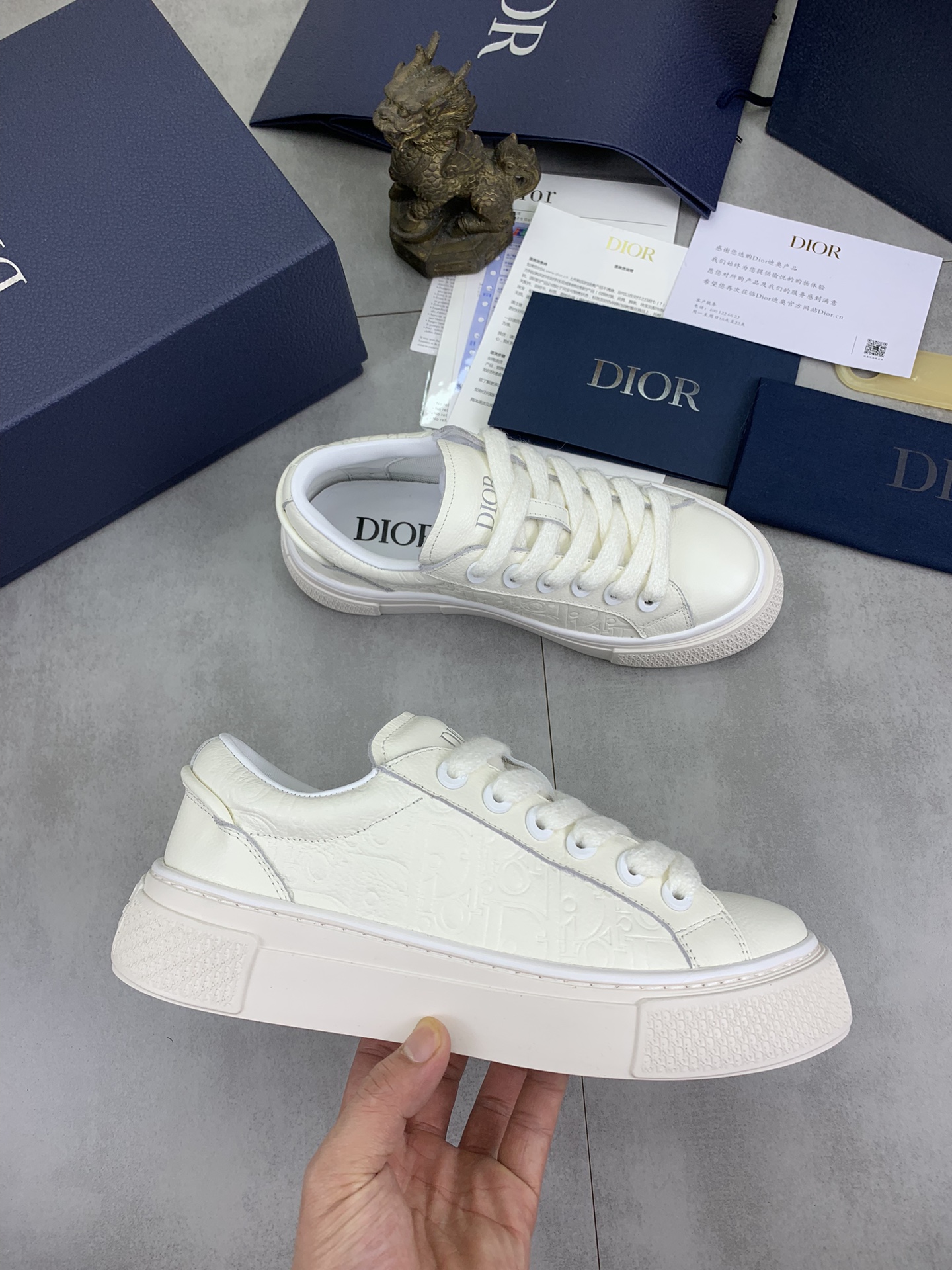 DiorSHOES